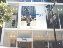 NOLLY'S3